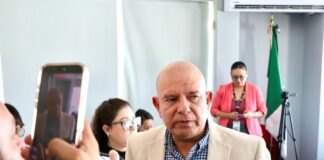 Premio a la ineptitud; Maru con el nombramiento de Loya como fiscal: Cuauhtémoc Estrada